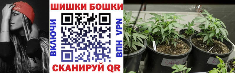 Шишки марихуана MAZAR  Купить где  Бутурлиновка 